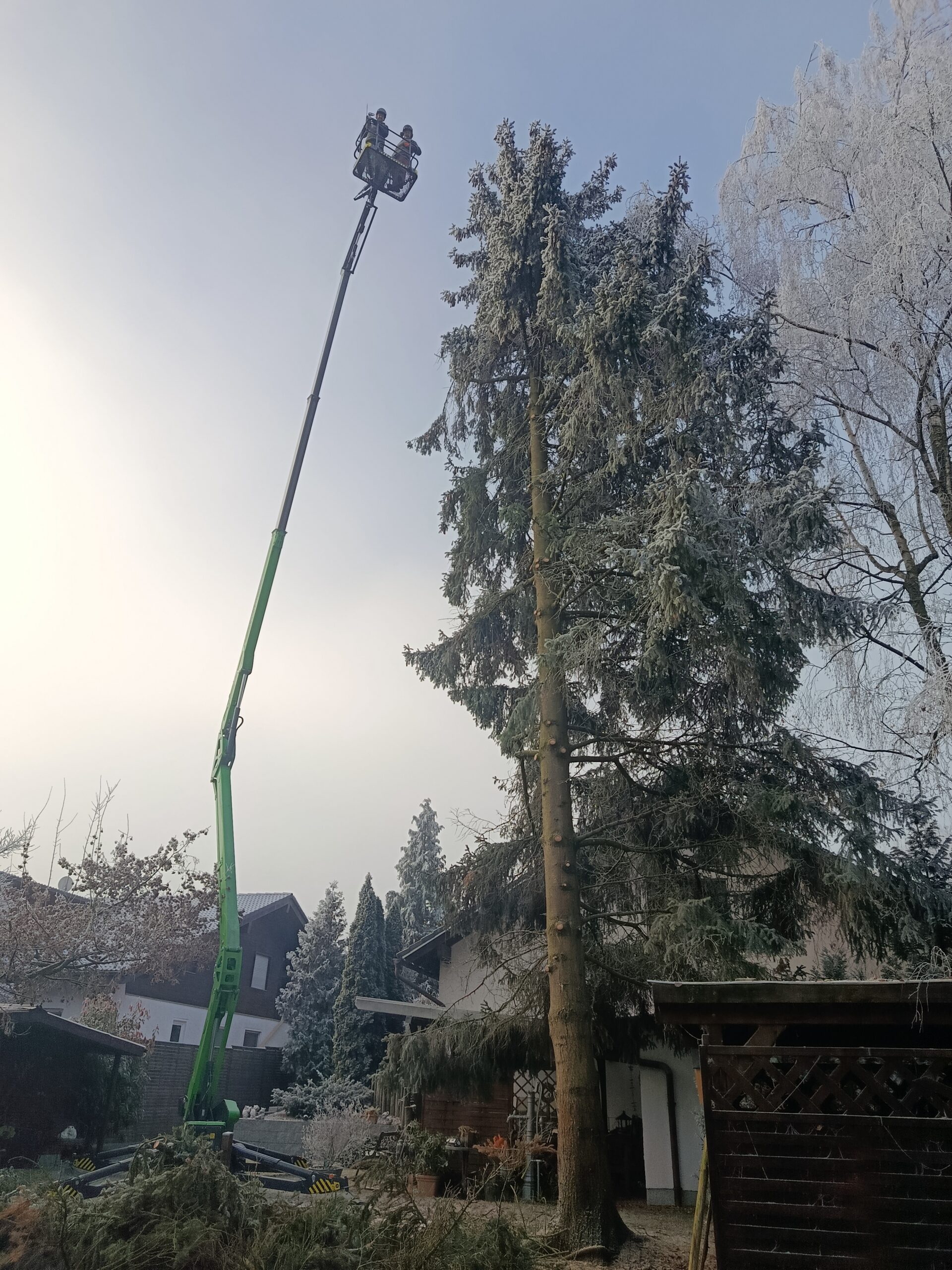 Fällung mit Hubarbeitsbühne direkt am Haus