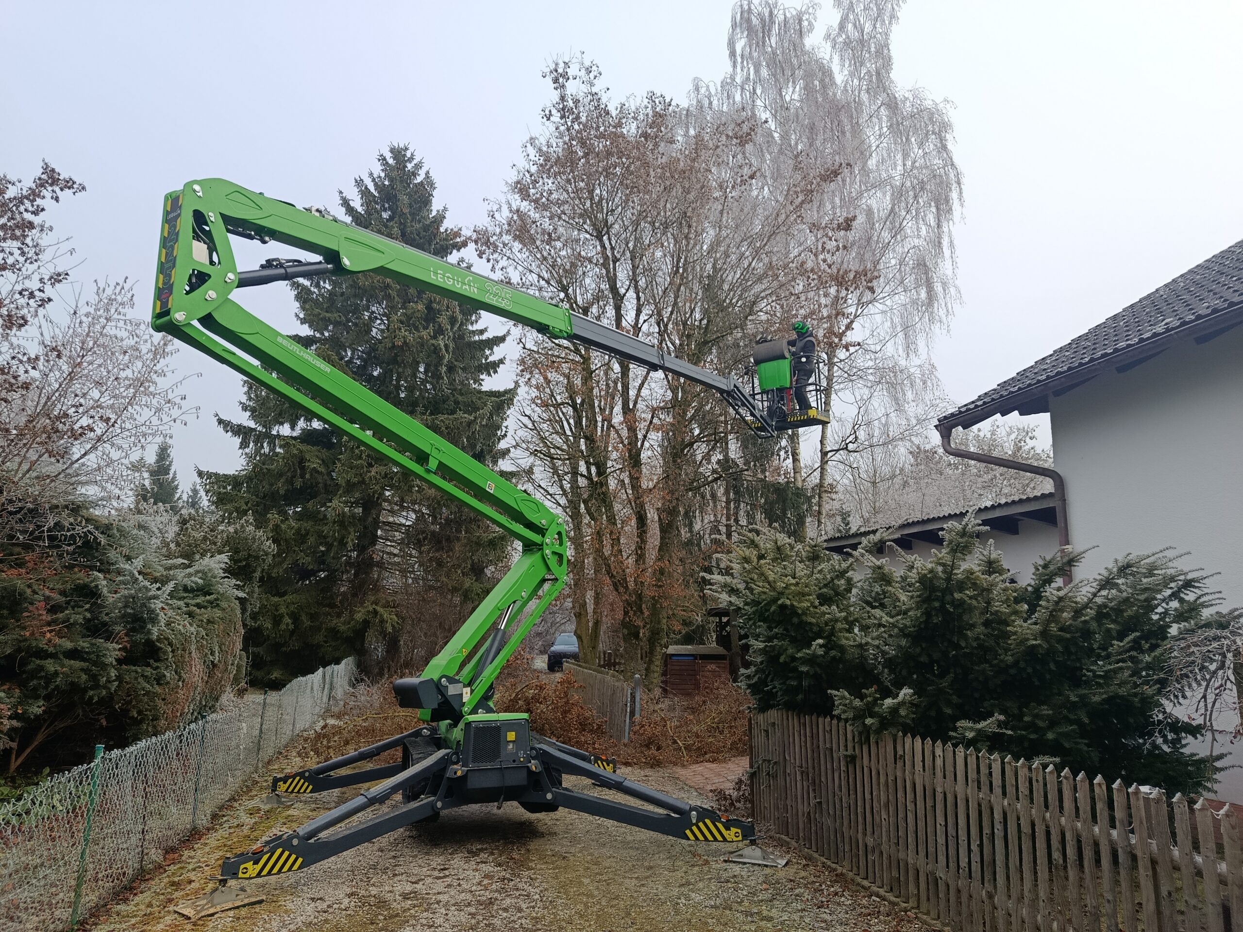 Hubarbeitsbühne Leguan bei der Kronenpflege an hohem Baum