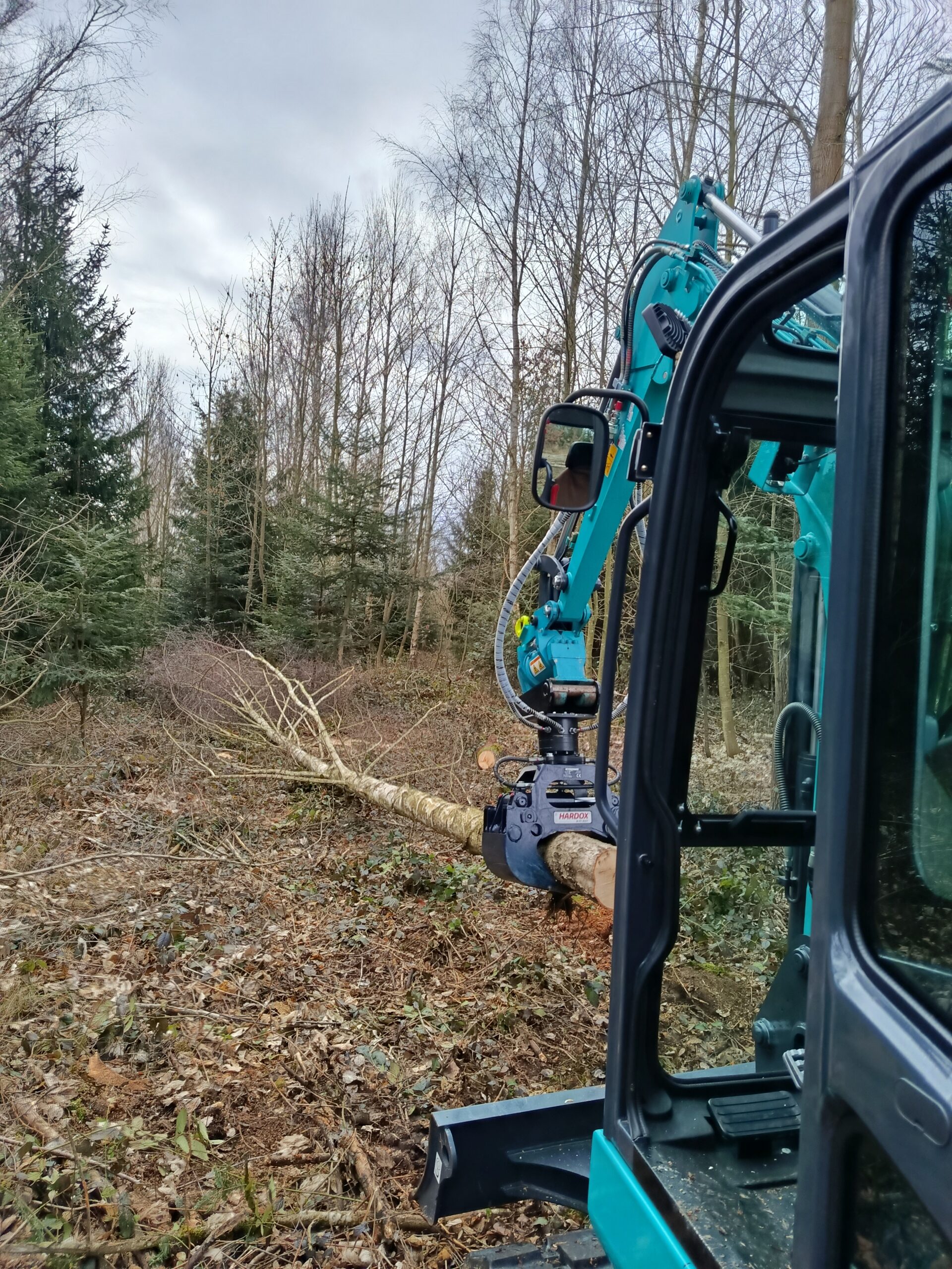 Forstarbeiten mit Forstbagger und Greifer im Wald