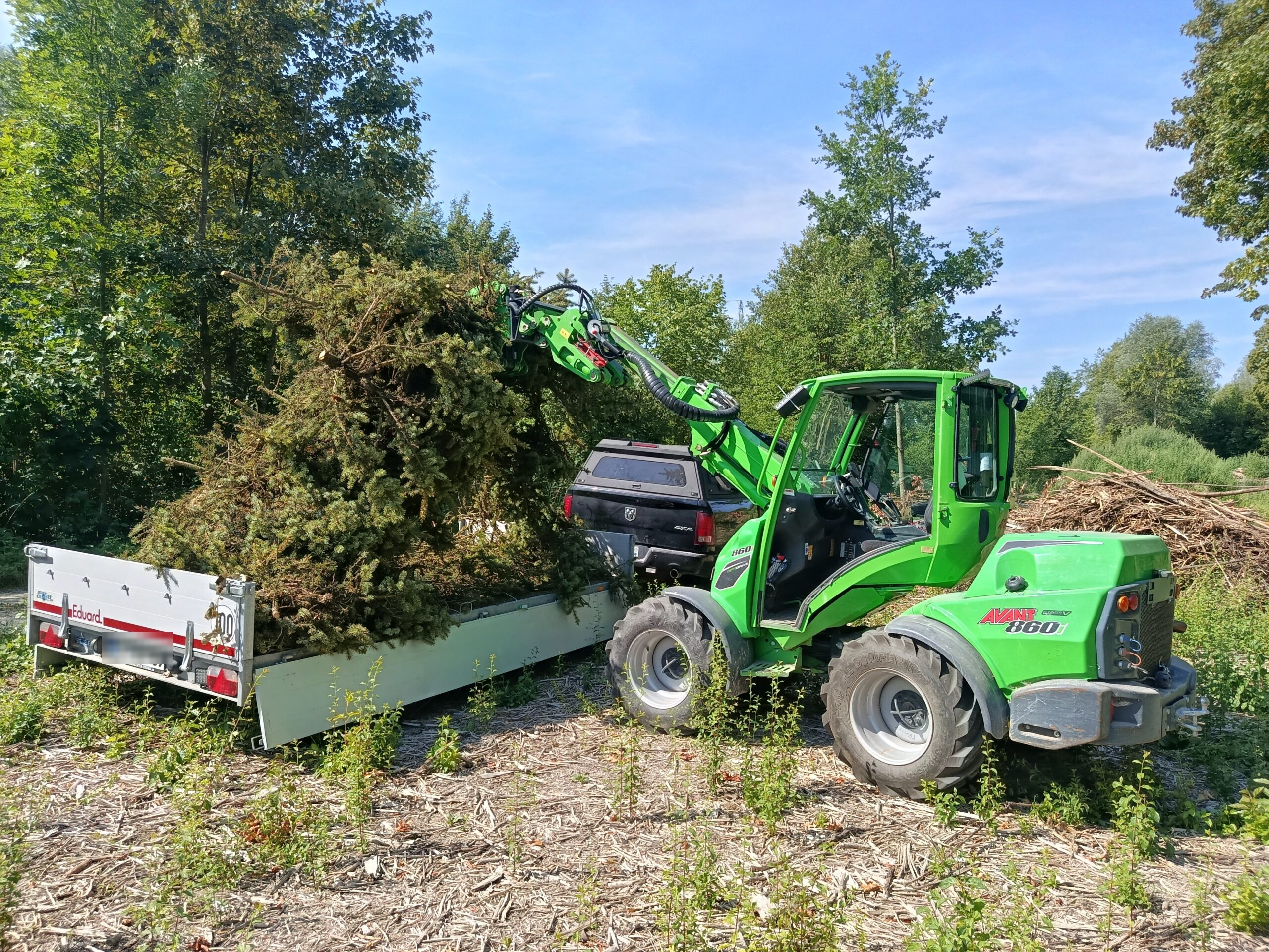 Holzverladung mit Radlader am Waldrand