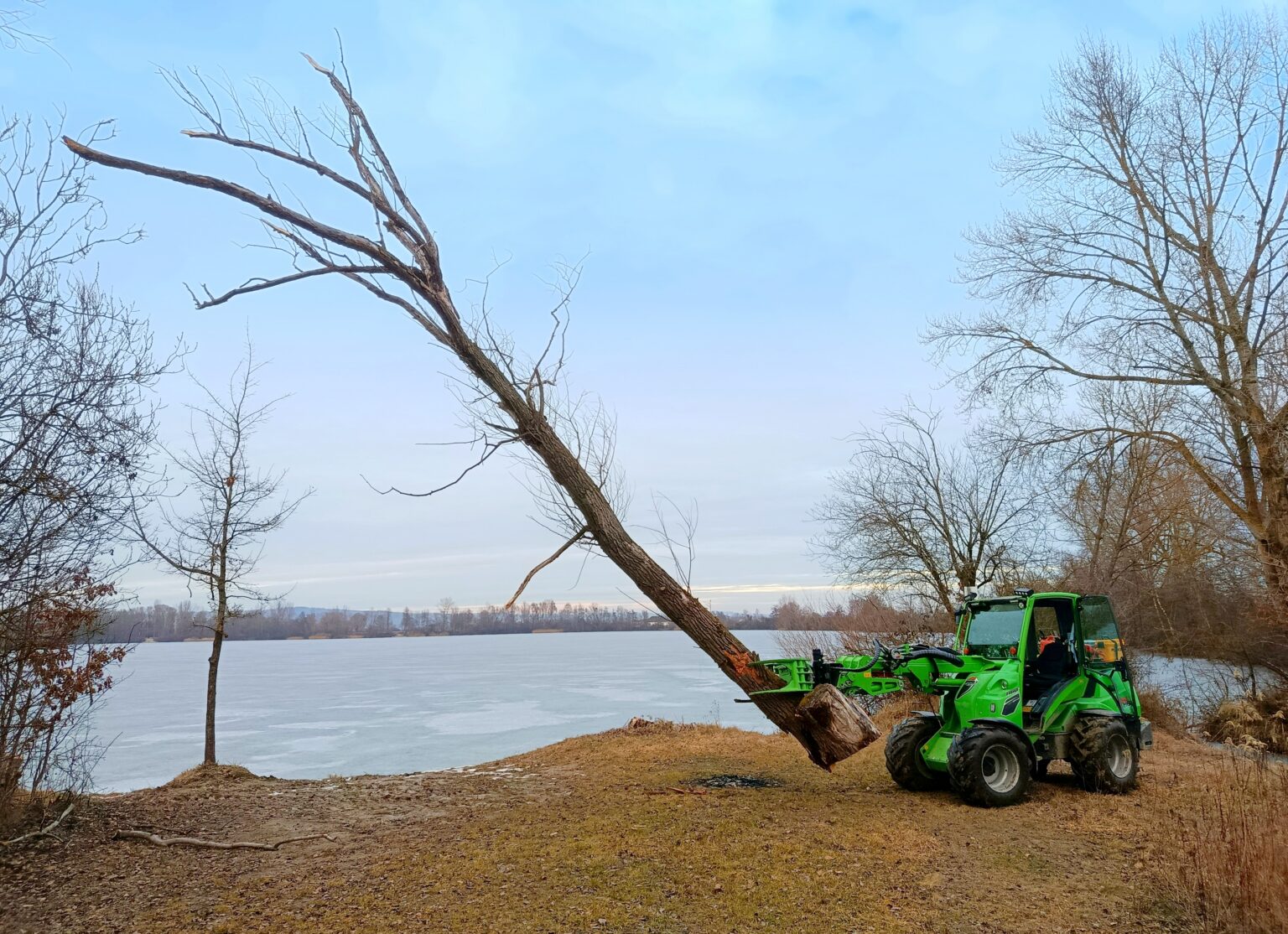 Avant Lader haelt den kompletten umgestuerzten Baum sicher im Greifer, See im Hintergrund