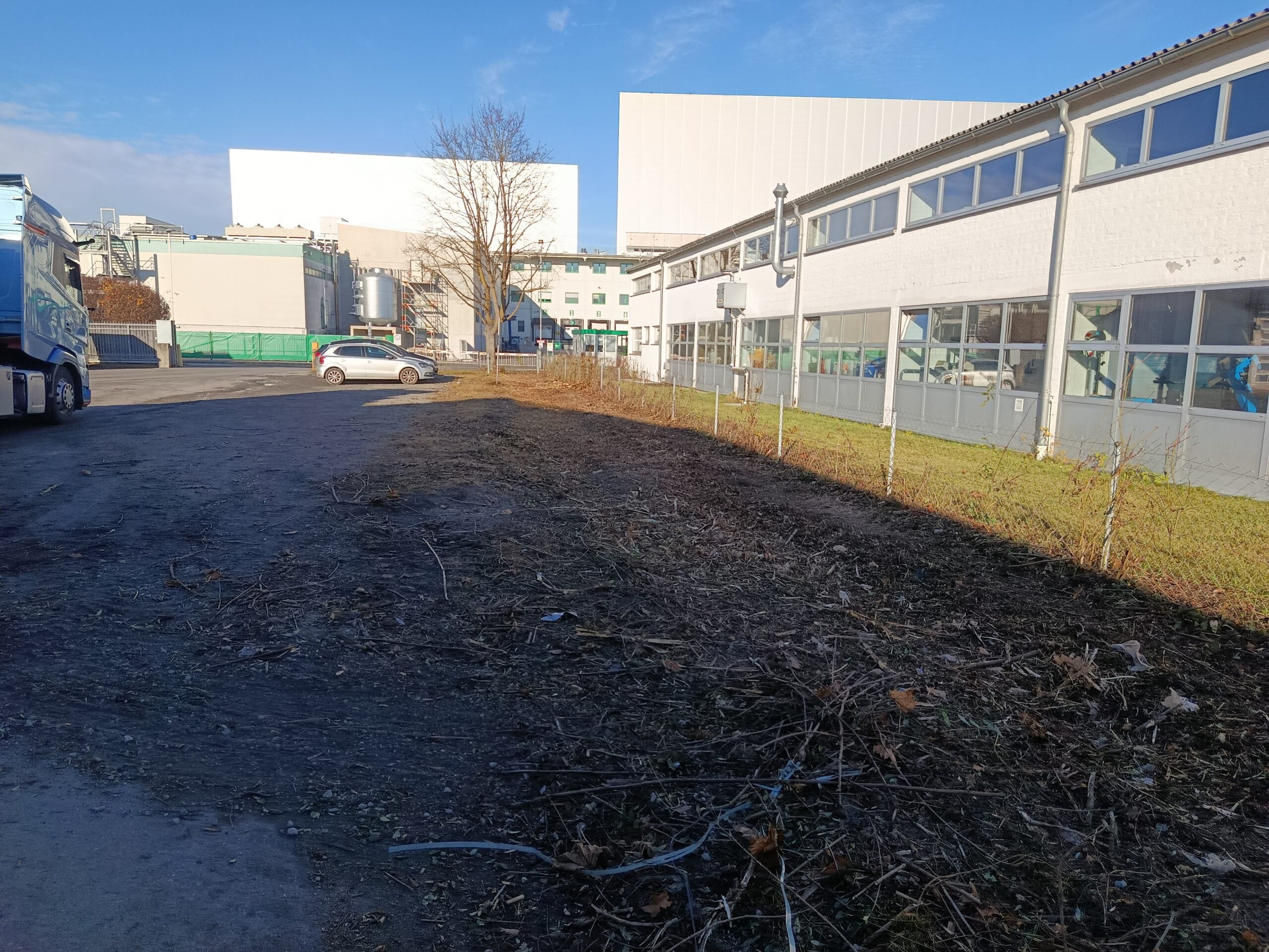 Grundstücksrodung, Rodungsarbeiten
